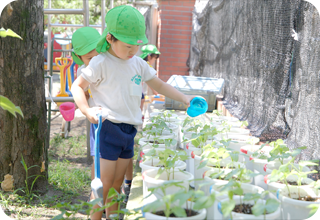 青葉幼稚園