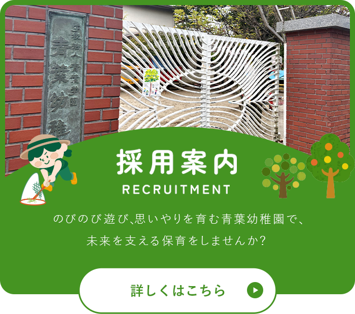 採用案内
